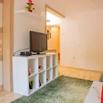 Bubu- Budapest Butterfly\'S
